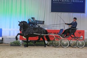 Wende van de Zunne wint Horses2fly KFPS sportcompetitie